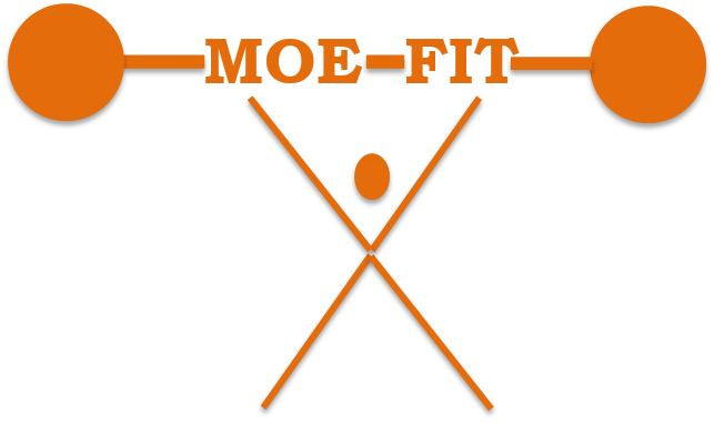 MOE FIT Personal Trainer New Mexico near Albuquerque NM Moe-Fit